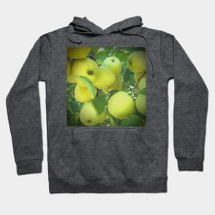 Golden Delicious Apple Harvest Hoodie